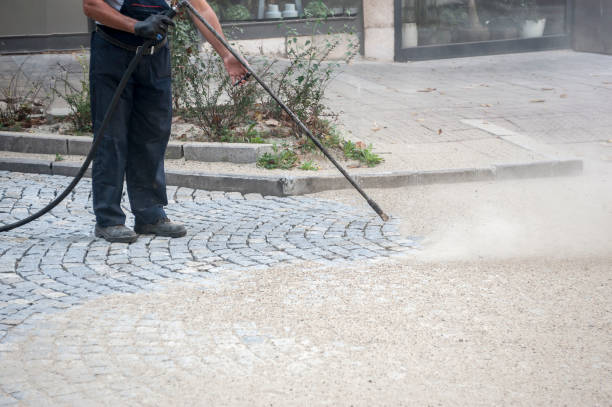 Best Restaurant Pressure Washing  in Alton, TX