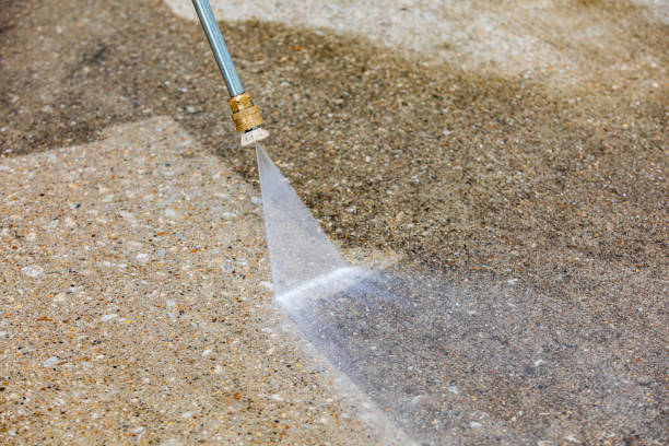 Best Roof Washing  in Alton, TX
