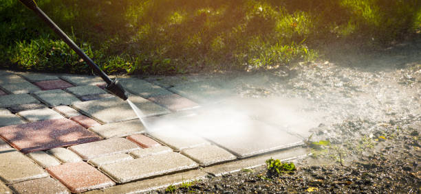 Best Dumpster Area Cleaning  in Alton, TX